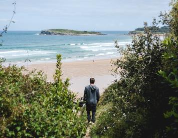 hospitality and travel management